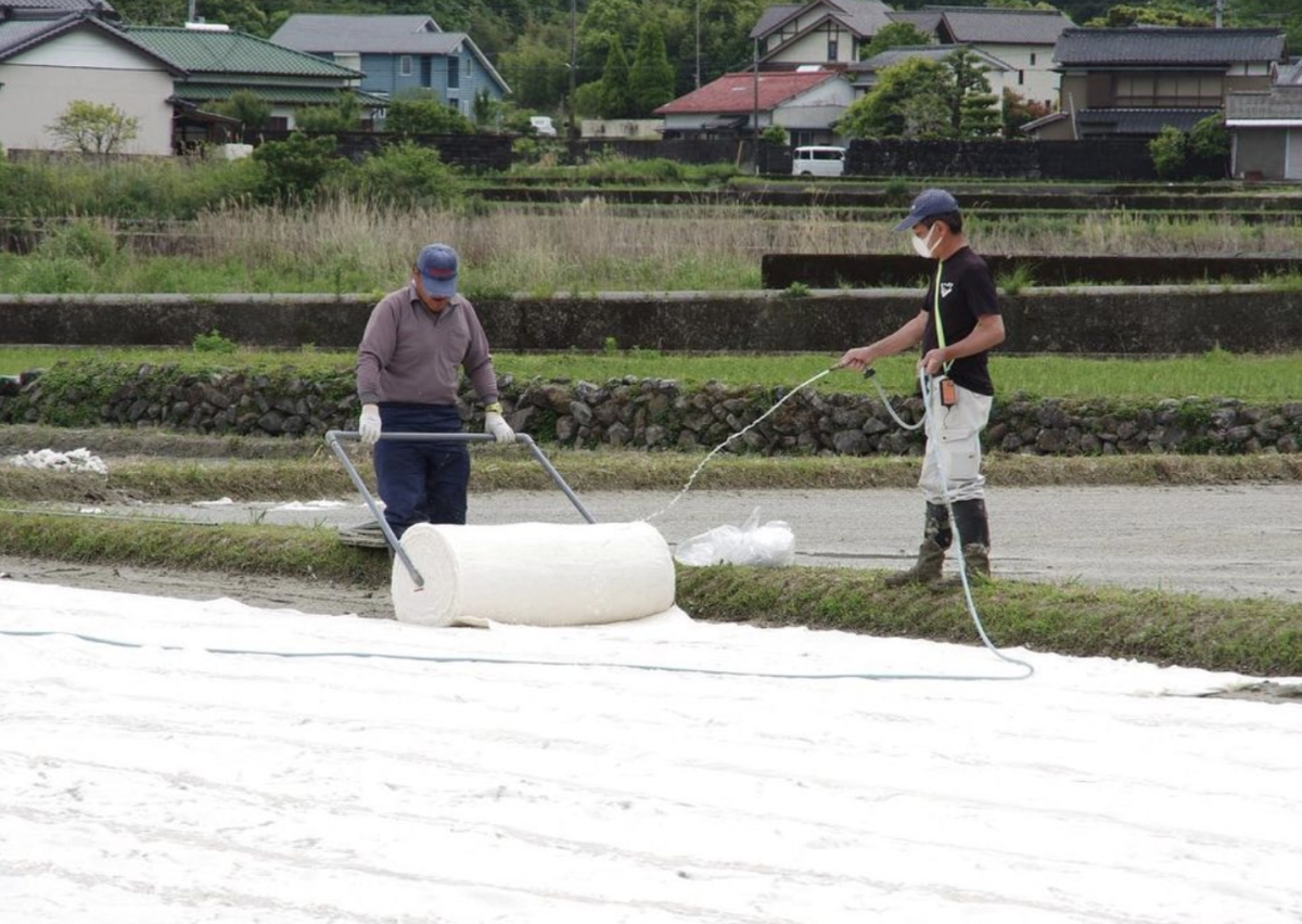 お米